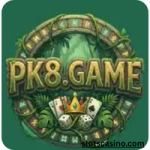 PK8 game