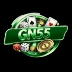 GN55