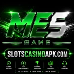 ME5 GAME