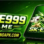 SK-E999 Game